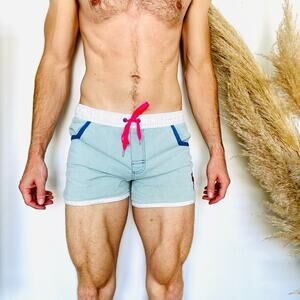 MENS ANDREW CHRISTIAN Blue White Striped Flamingo Print Swim Trunks Shorts L